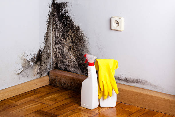 Water Damage Restoration in Toledo, IL